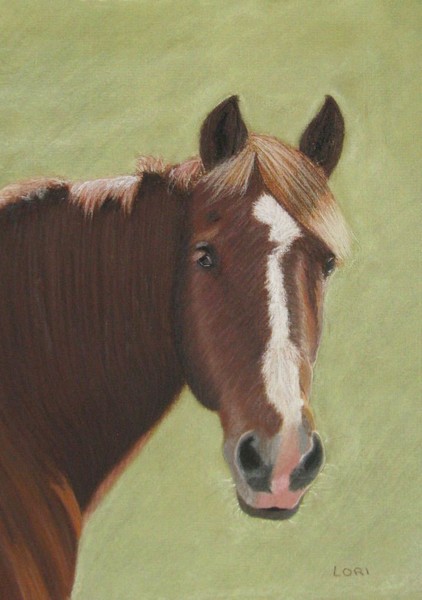 horse