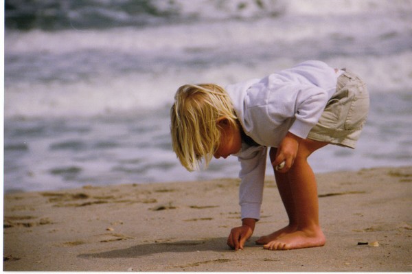 finding shells