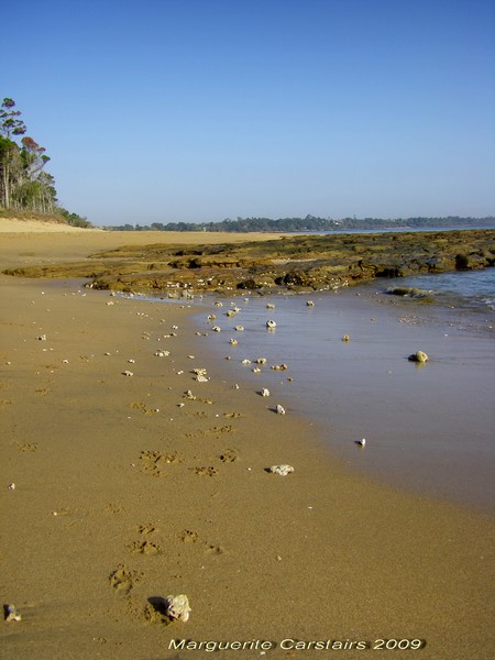 Sand Shore at Low Tide