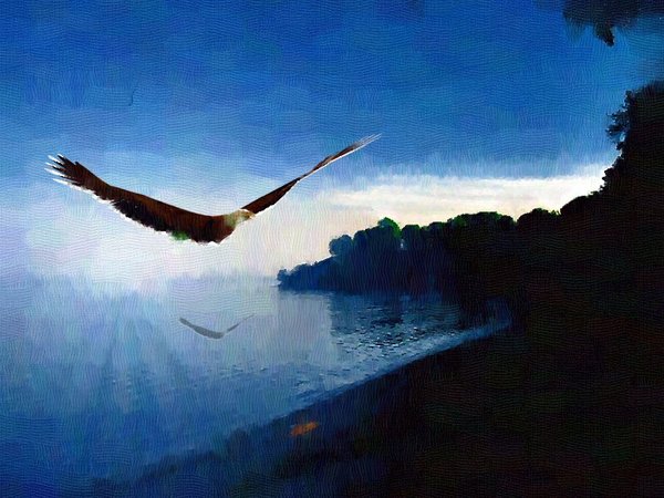 Freedom