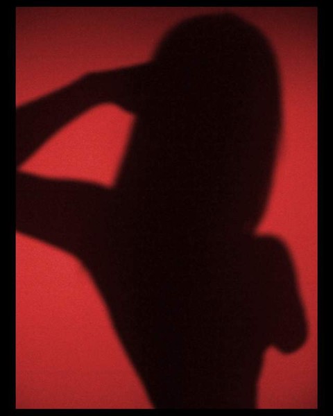 The Photographer.....
