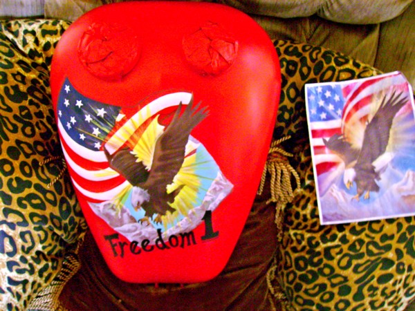 freedom 1