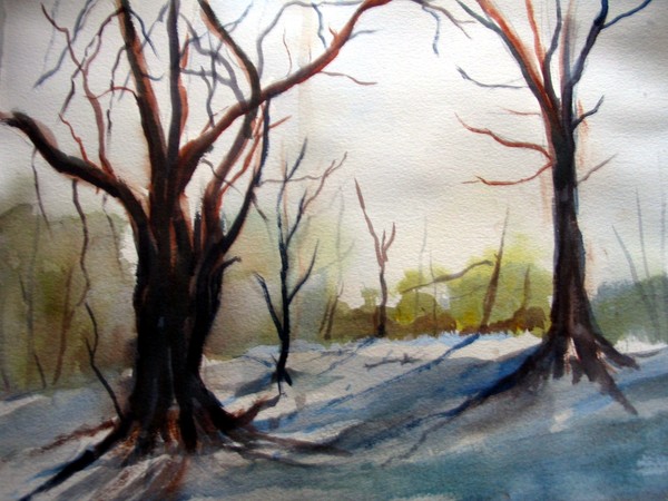 WINTER MORNING LIGHT