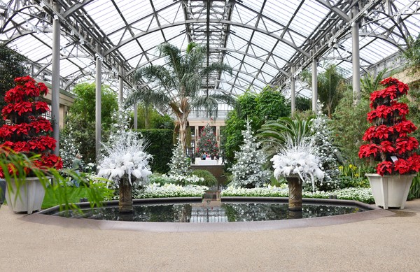Holiday Conservatory at Longwood Gardens