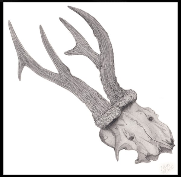 Prongs