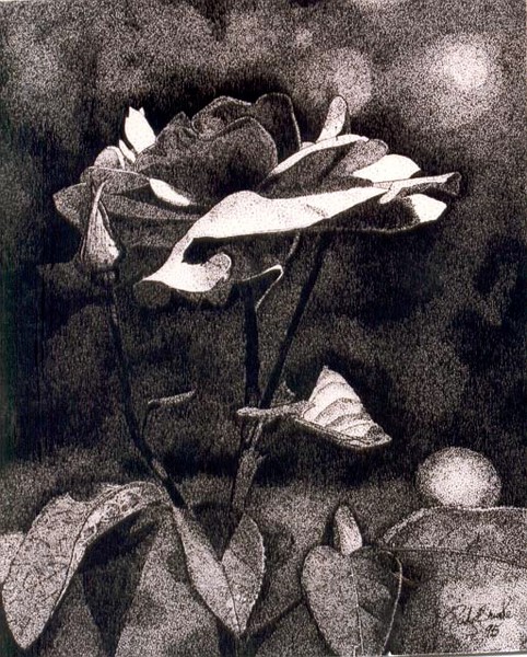 Rose With Love