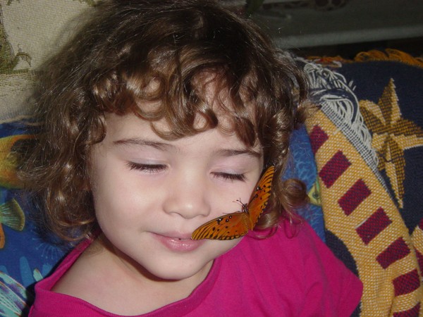 Destiny with butterfly