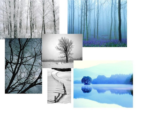 Winterland