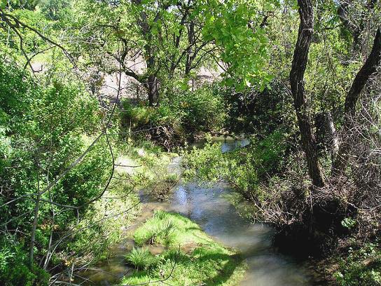 THE CREEK