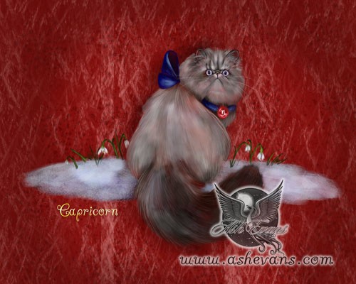 Capricorn the 