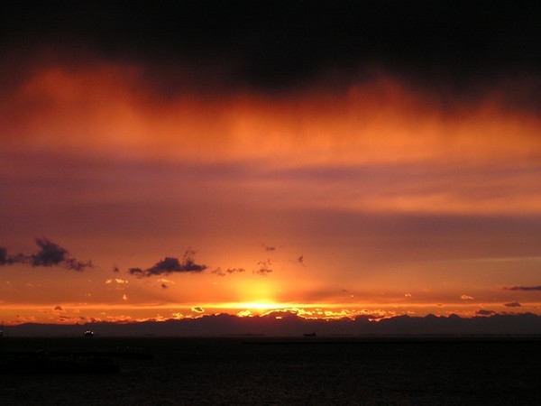 After the Rain...
