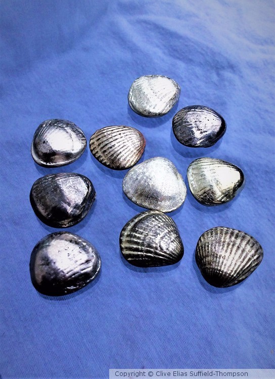 Cockles