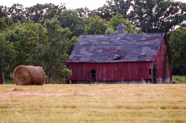 Farm Life