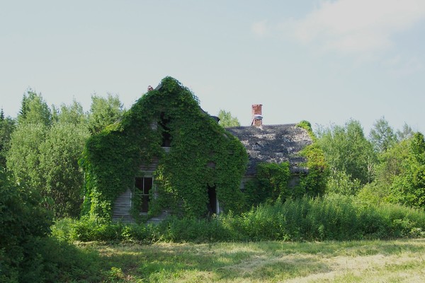 Old House