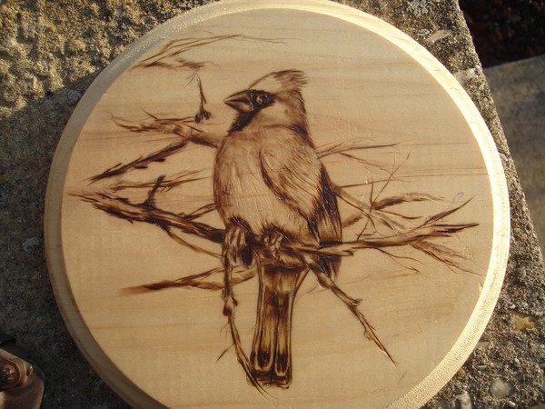 cardinal woodburning