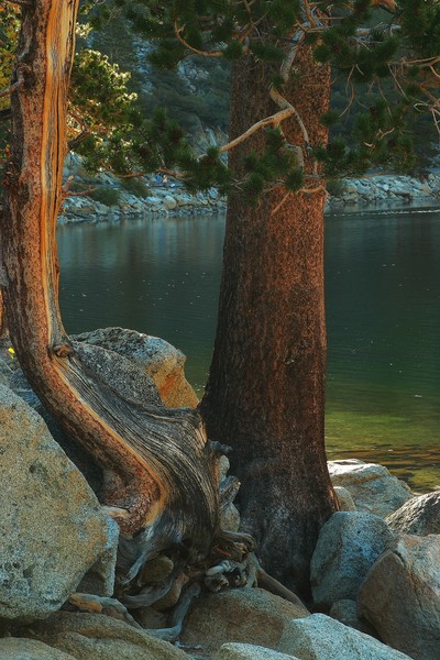 Rock Creek