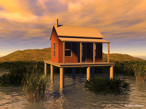 Swamp House