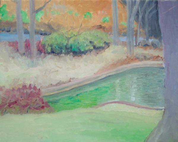 The green waterpool