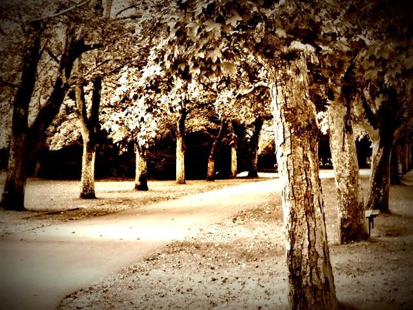 Promenade