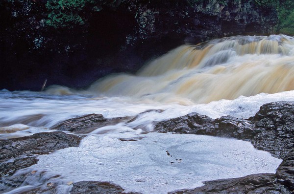 Foam Pool and Raging River