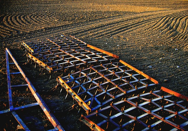 Land art 1