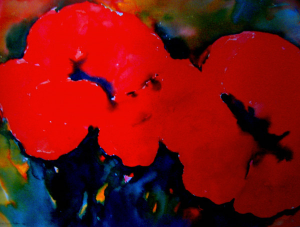 two poppies