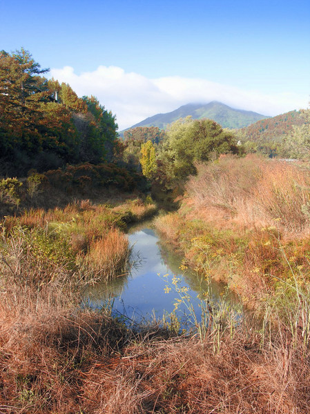 Corte Madera Creek