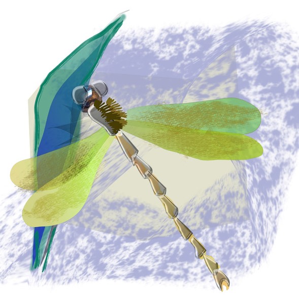 Dragonfly