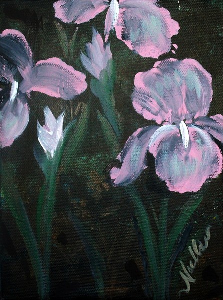 Pink Flowers