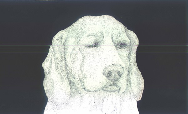 Beagle pointilism