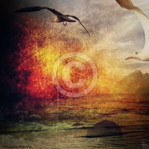 The Flight