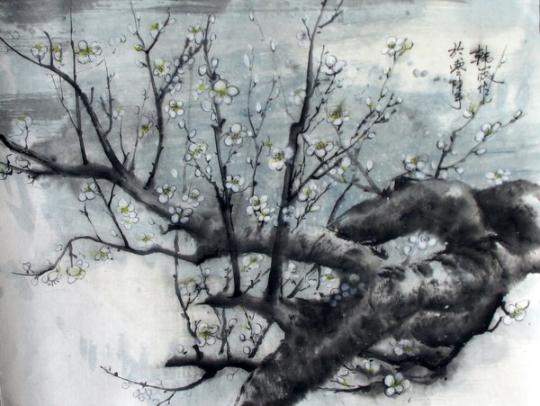 white plum blossom