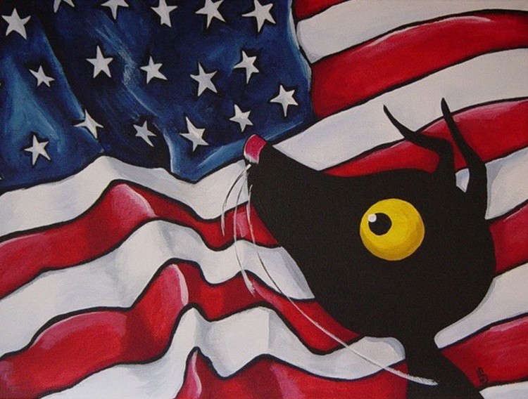 Stressie Cat and the American Flag!