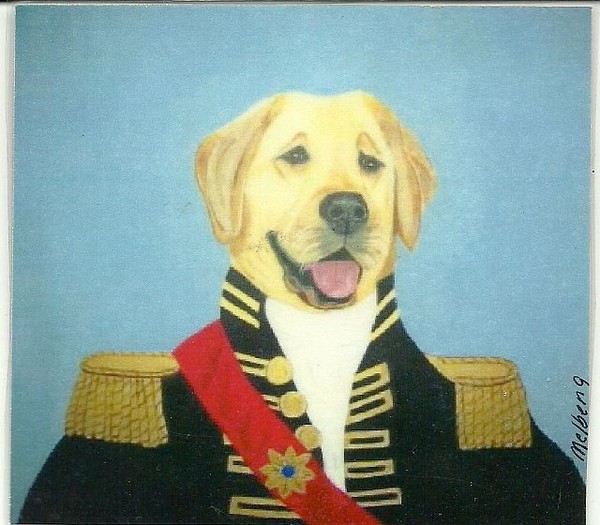 Sir Retriever