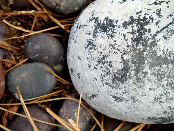 Rocks