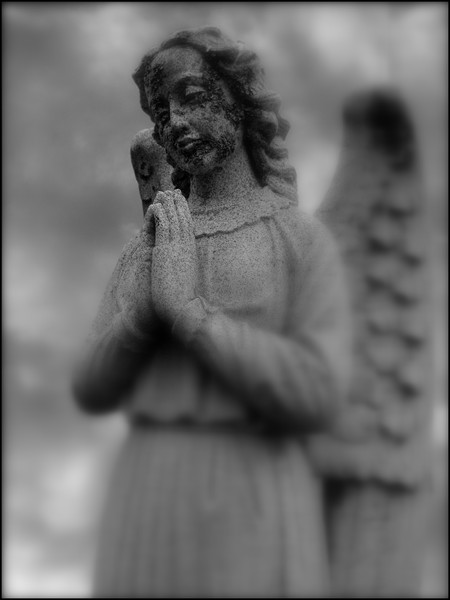 Angel In Prayer