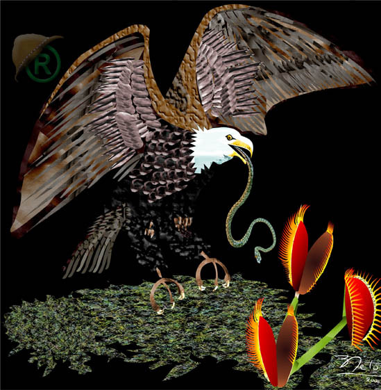 NATURE SINGS