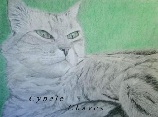 Cat 26