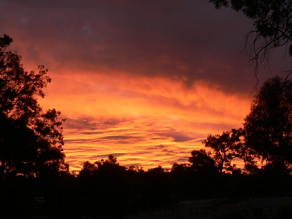 Golden Dusk