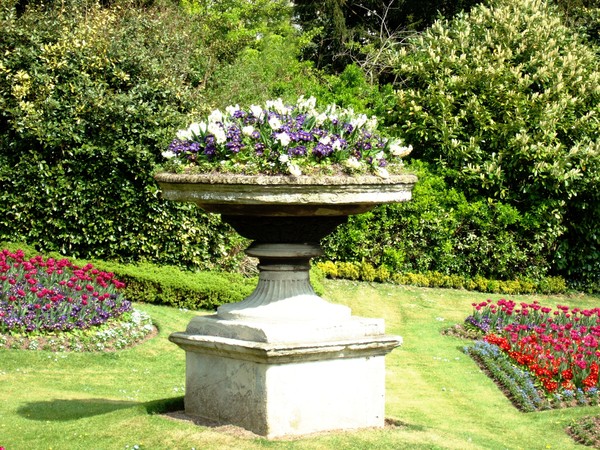 flowers in the park