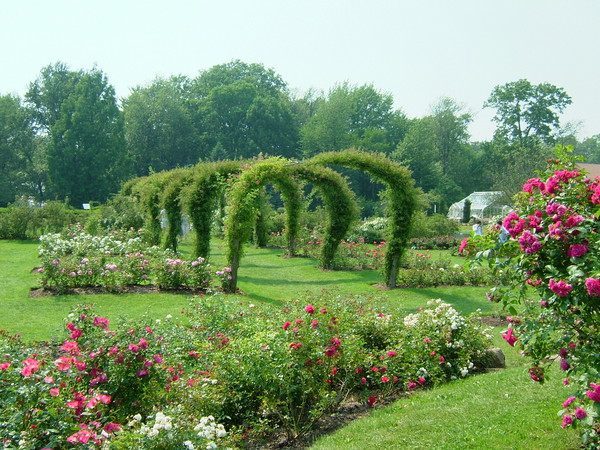 The Queen's Croquet-Ground