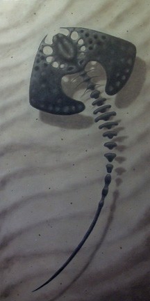 Ray