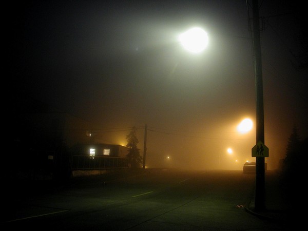 Ode to a Foggy Morning