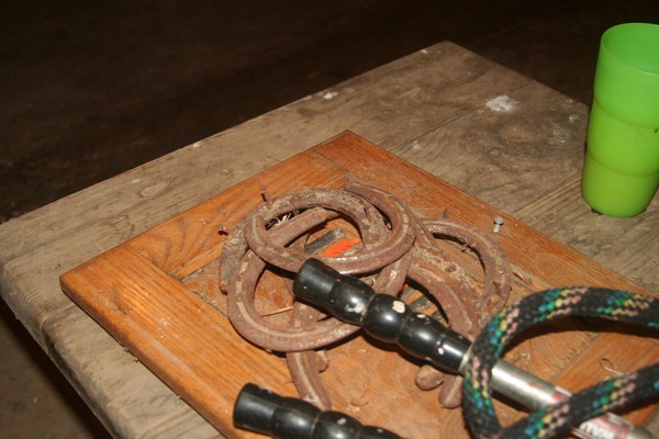 Old Horse shoes