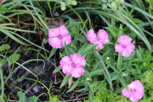 spring 2014