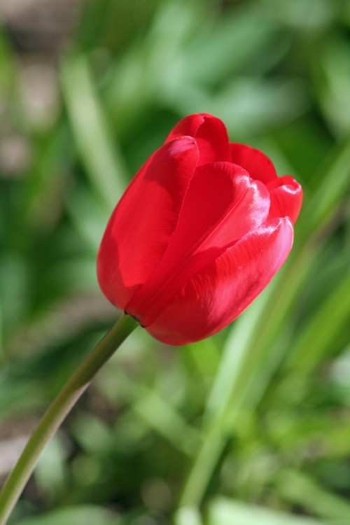 April