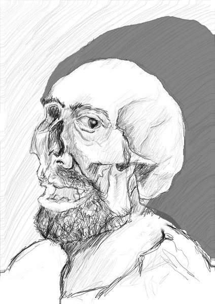 Skull me