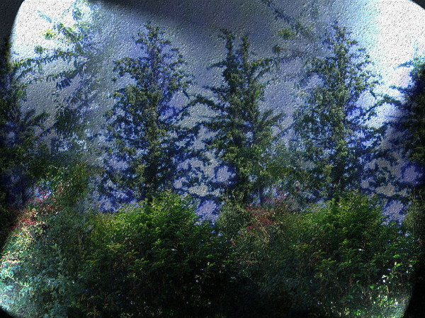 Mars Forest