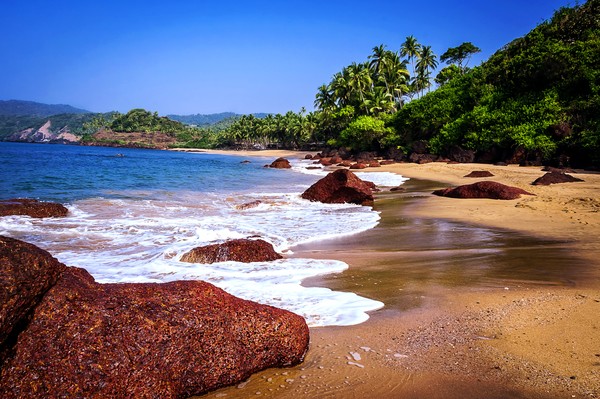 Cola beach India