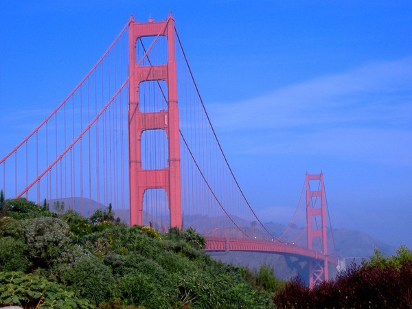 Golden G. Bridge up-close